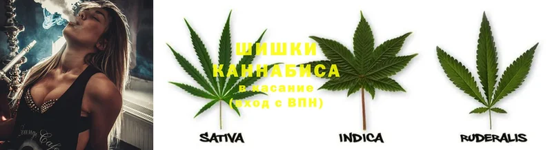 где купить наркоту  blacksprut ONION  Канабис Bruce Banner  Сыктывкар 